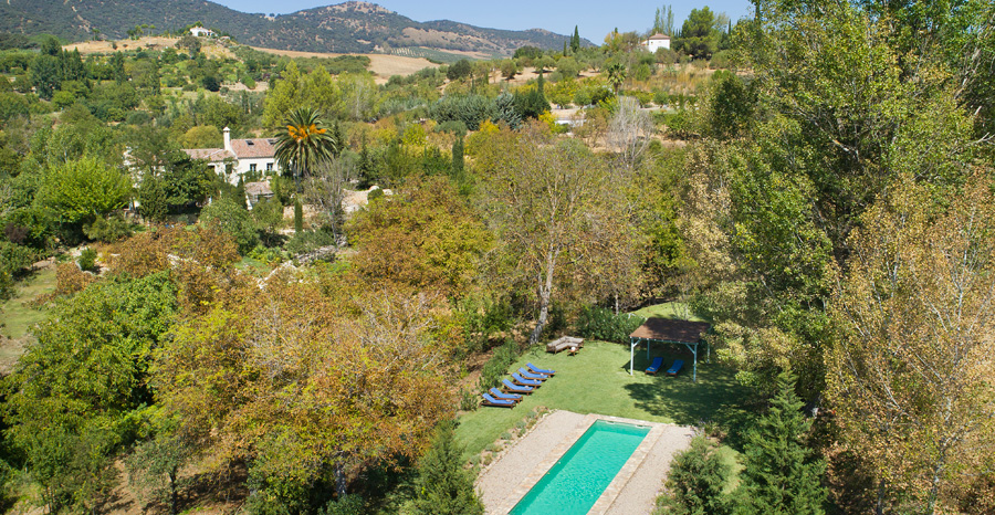 Stunning swimming pool and gardens