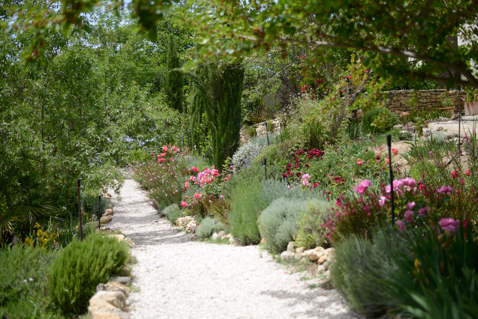 LA ALCANTARILLA - Flower bordered path