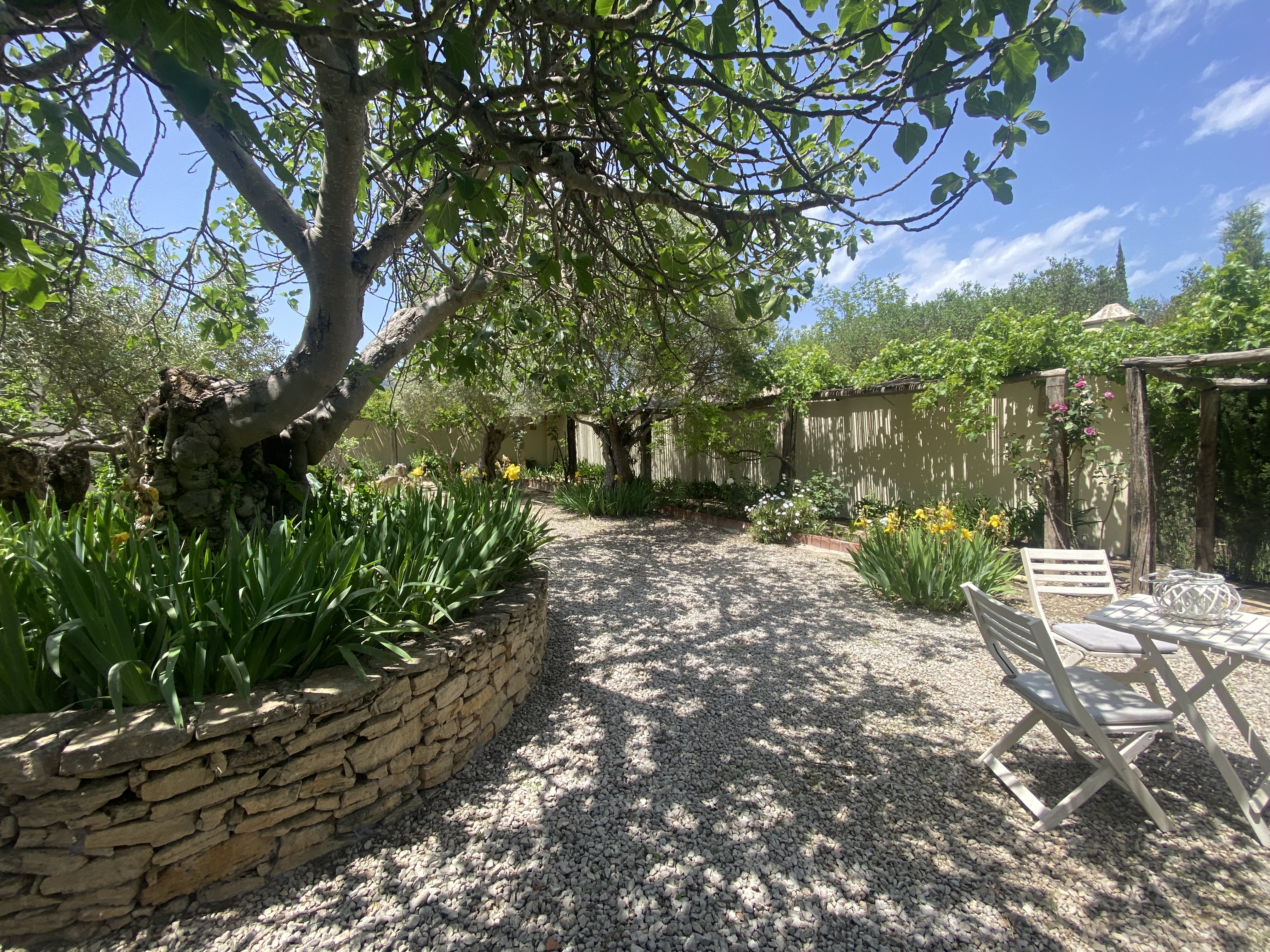 CASA MAIA - Courtyard