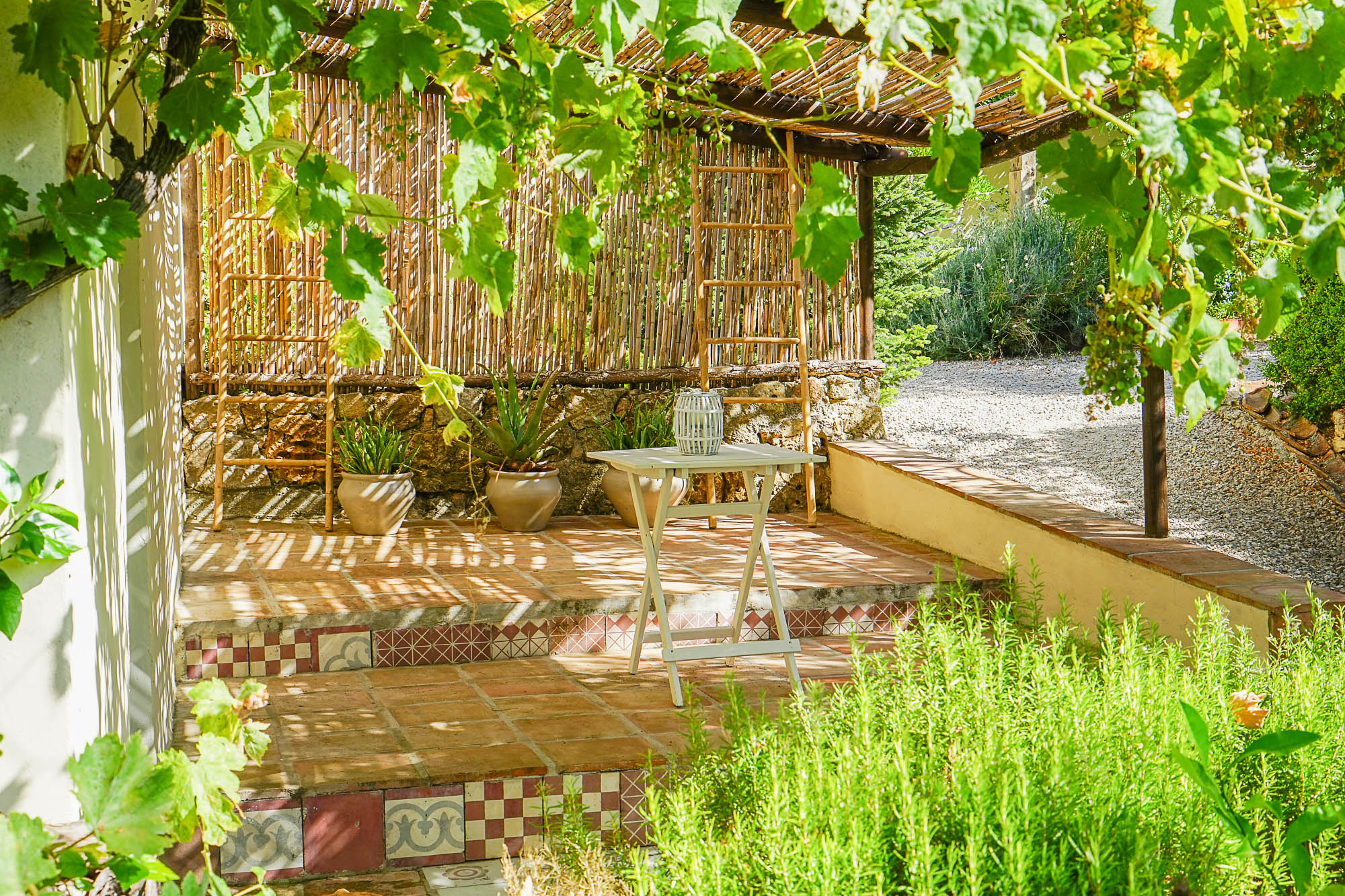 CASA MAIA - Courtyard